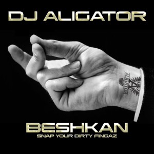 دانلود آهنگ DJ ALIGATOR - Beshkan